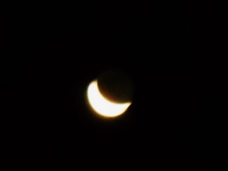 luna perpetual